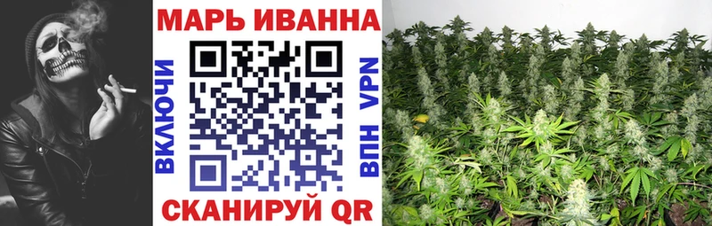 Бошки Шишки MAZAR  гидра ссылки  Железногорск 